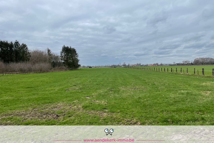 Verschillende percelen weiland (&gt; 4,5 ha) in Meeuwen 