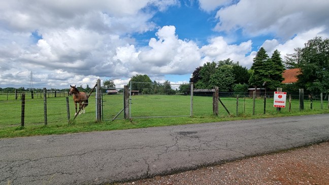 Onder voorbehoud grond - Wommelgem