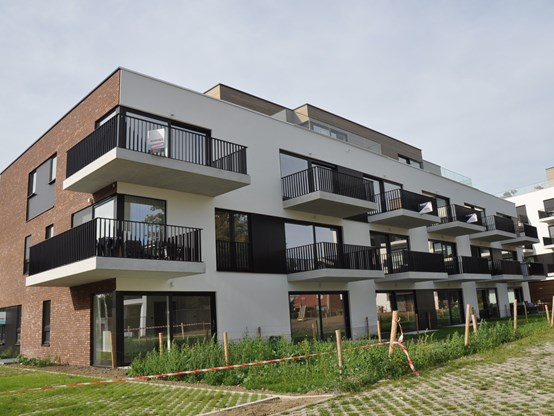 Te huur - Appartement - Izegem