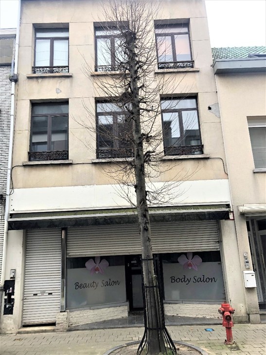 Verkocht gebouw - Lier