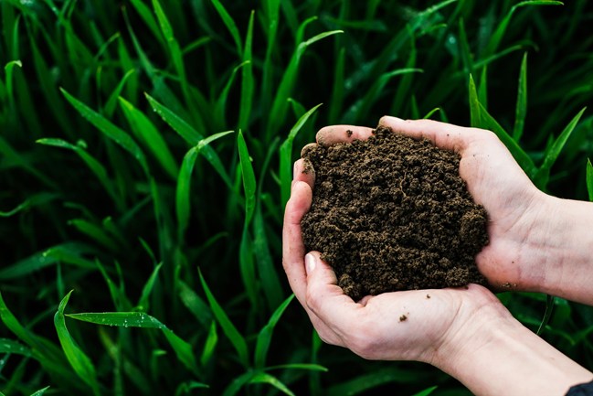 Aendekerk Immo - Belang van een bodemaatst