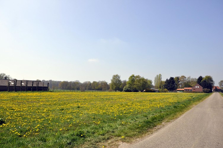 Vrijstaand woonhuis met naast gelegen perceel van ca .10.000m2 