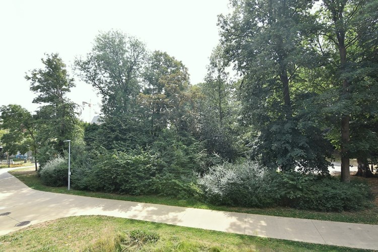 Lichtrijk 2-slpk appartement met zicht op stadspark 
