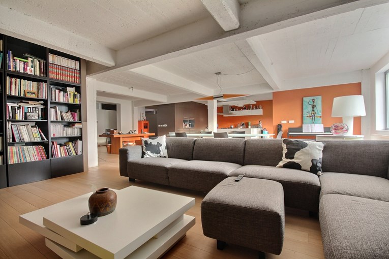 Superbe loft meubl&#233; avec terrasse - Colocation ok 