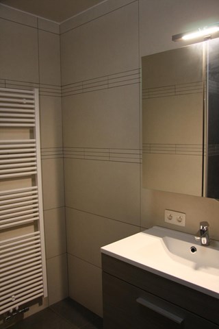 Badkamer 1 (aan Slaapkamer 1)