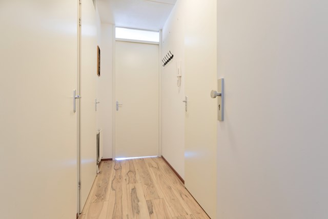 Entree van de woning met toegang naar meterkast, berging met CV-ruimte, badkamer en toilet