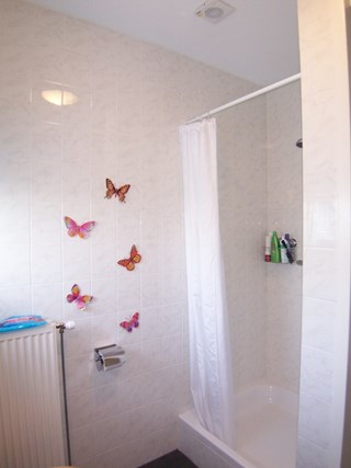 De geheel betegelde badkamer met douche