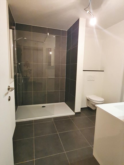 badkamer met ruime inloopdouce, toilet en lavabomeubel