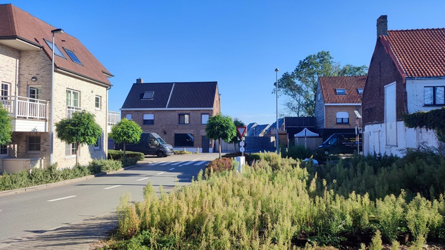 Zedelgem/Veldegem: nieuwbouwwoning met 3 slpk en garage 